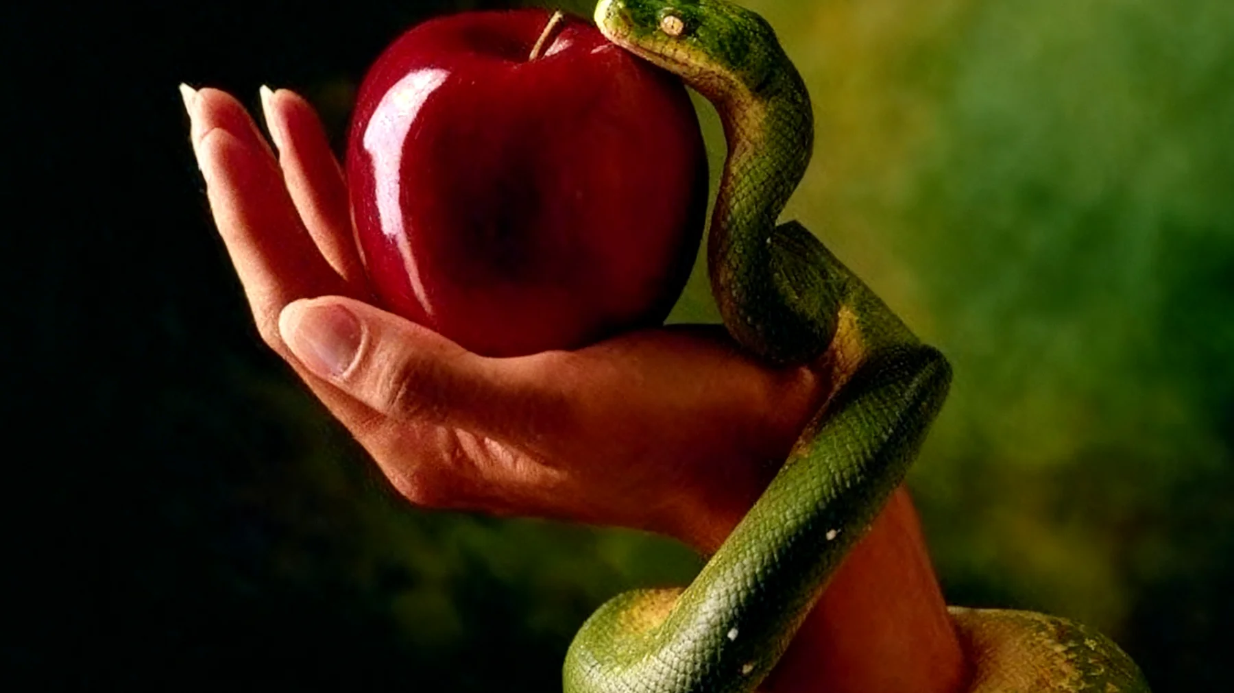 Forbidden Fruit2026-02-15T14:48:58.348Z"