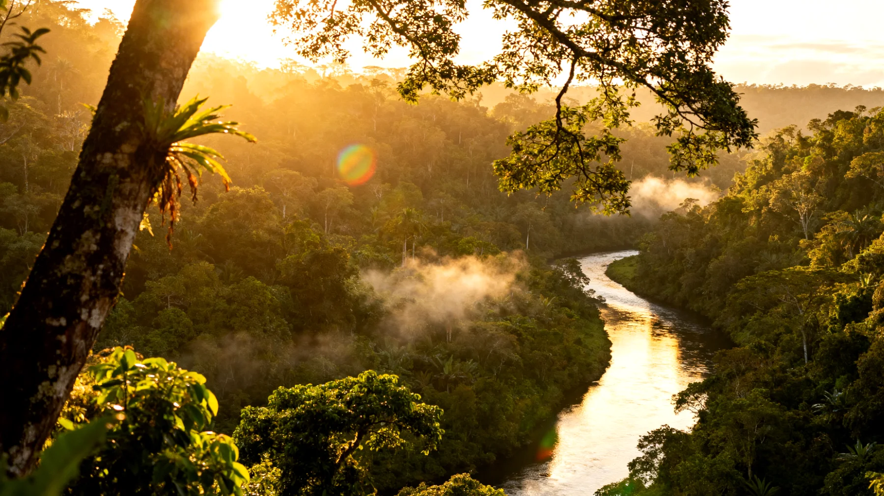 Parco Nazionale del Manu"