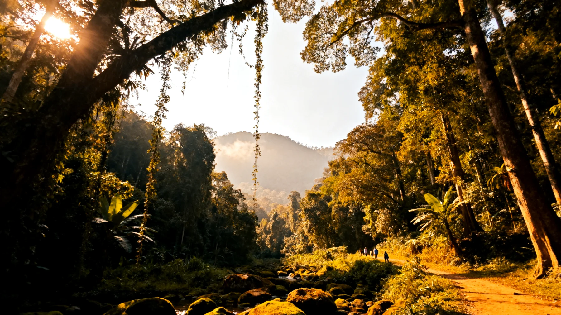 Parco Nazionale di Khao Yai"
